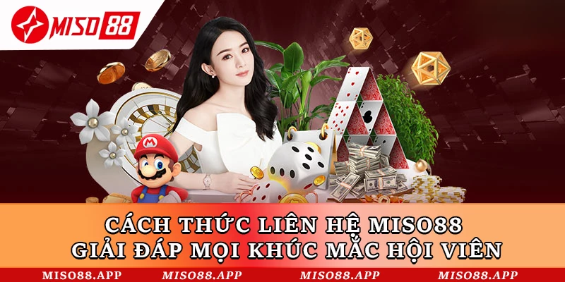 Cách thức liên hệ bằng email